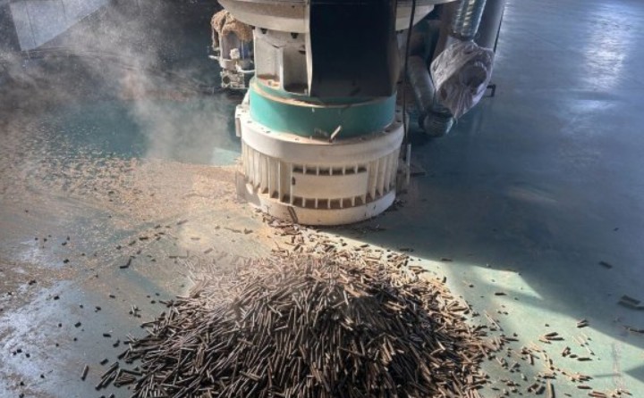 黑龍江鶴立林業局：生物質顆粒產業點燃綠色發展新引擎