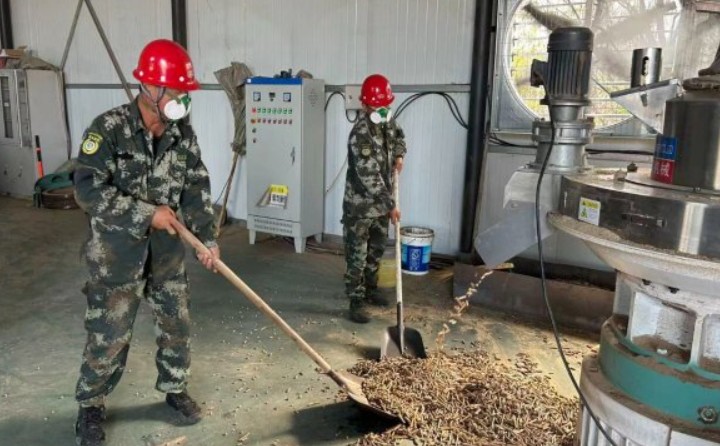 黑龍江鶴立林業局：生物質顆粒產業點燃綠色發展新引擎